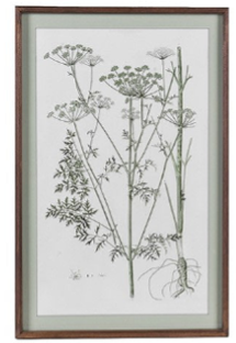 Meadowsweet Collective Prints 70cm - Style Choice