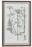 Meadowsweet Collective Prints 70cm - Style Choice