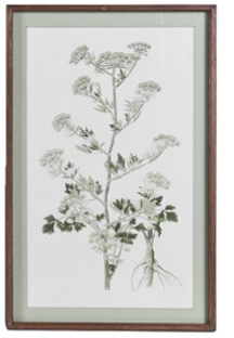 Meadowsweet Collective Prints 70cm - Style Choice