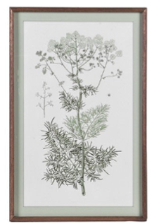Meadowsweet Collective Prints 70cm - Style Choice