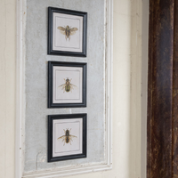 Brockby Set of Three Framed Bee Prints 38cm | Annie Mo's