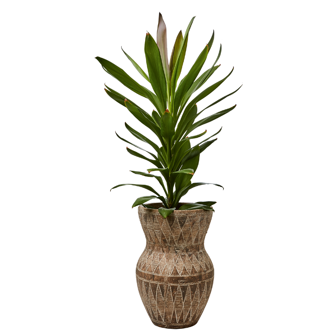 Camille Beige Black Terracotta Pot Tall 32cm