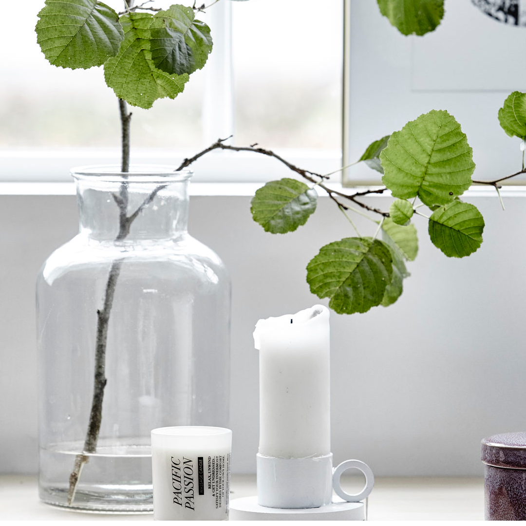 Classic Clear Glass Vase 30cm | Annie Mo's