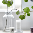 Classic Clear Glass Vase 30cm | Annie Mo's