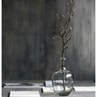 Clear Glass Bottle Vase 29cm | Annie Mo's