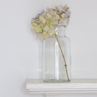 Mini Botanical Jar 20cm | Annie Mo's