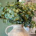 Eucalyptus Spray 78cm | Annie Mo's