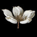 White Magnolia Clip 23cm