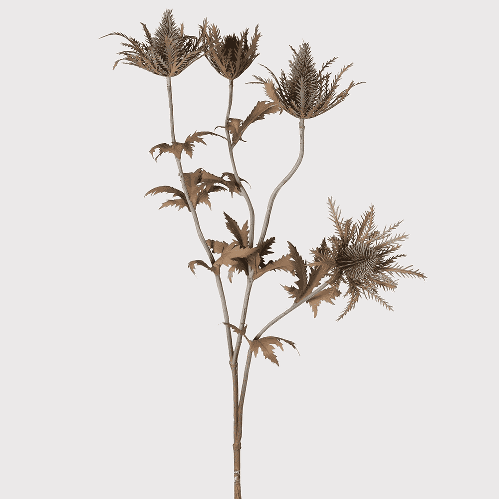 Dry Look Thistle Spray 77cm | Annie Mo's