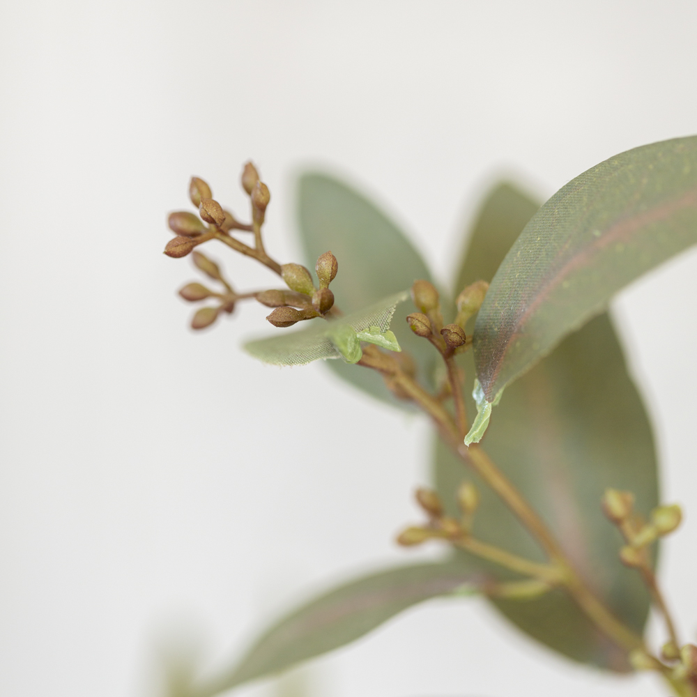 Eucalyptus Spray with Seeds 67cm