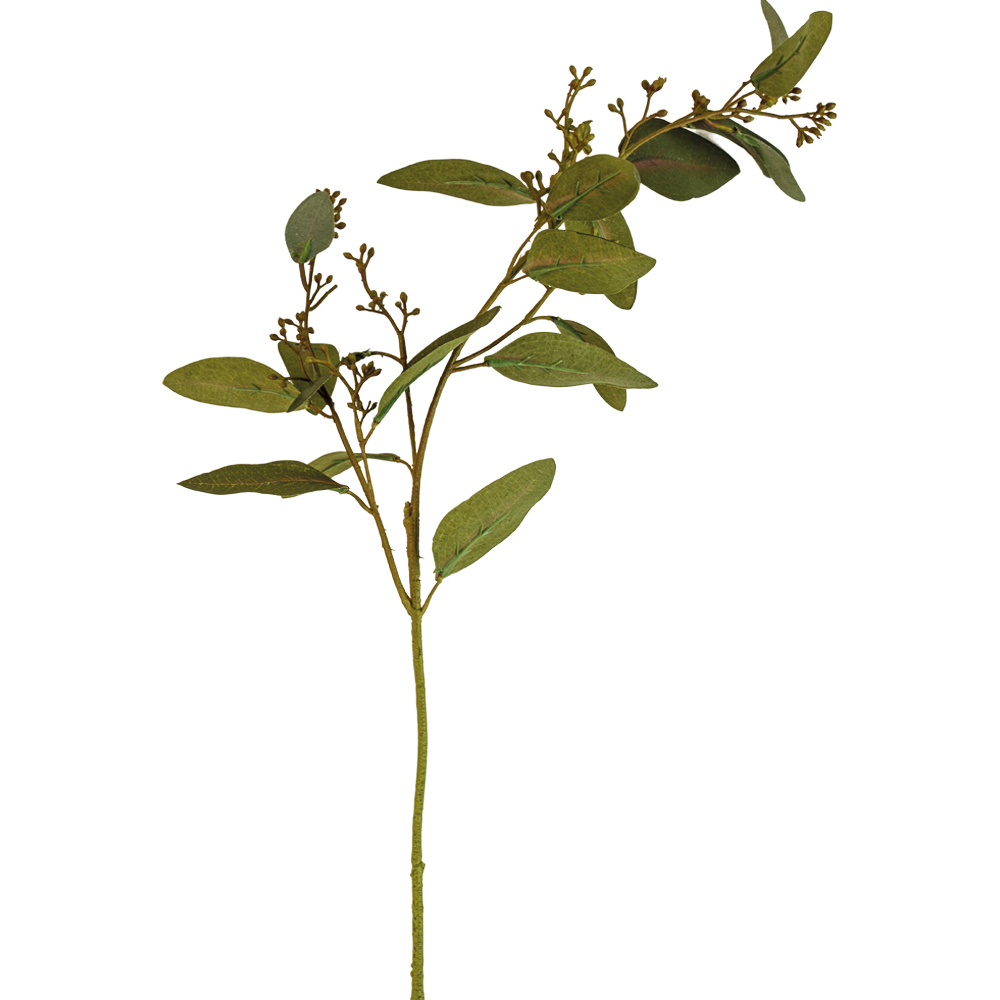 Eucalyptus Spray with Seeds 67cm