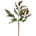 Eucalyptus Sprig 33cm | Annie Mo's