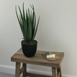 Faux Potted Aloe Plant 58cm | Annie Mo's