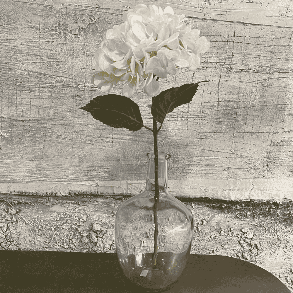 Feel Real White Hydrangea