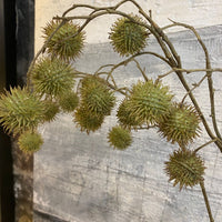 Green Platanus Spray 55cm | Annie Mo's A