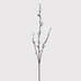 Grey Pussy Willow Spray with Leaves 88cm | Annie Mo's D