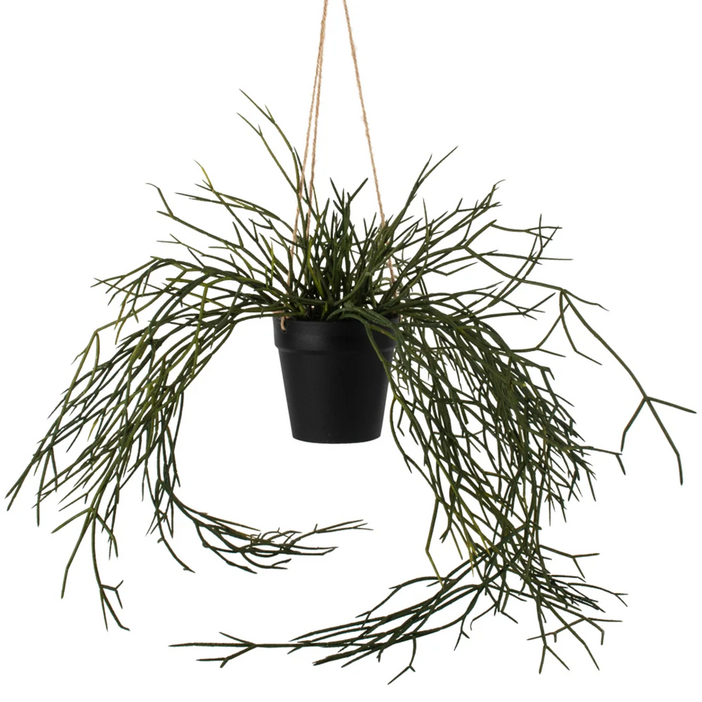 Hanging Faux Grass in Pot 55cm | Annie Mo's