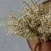 Cream Heather Stem 42cm