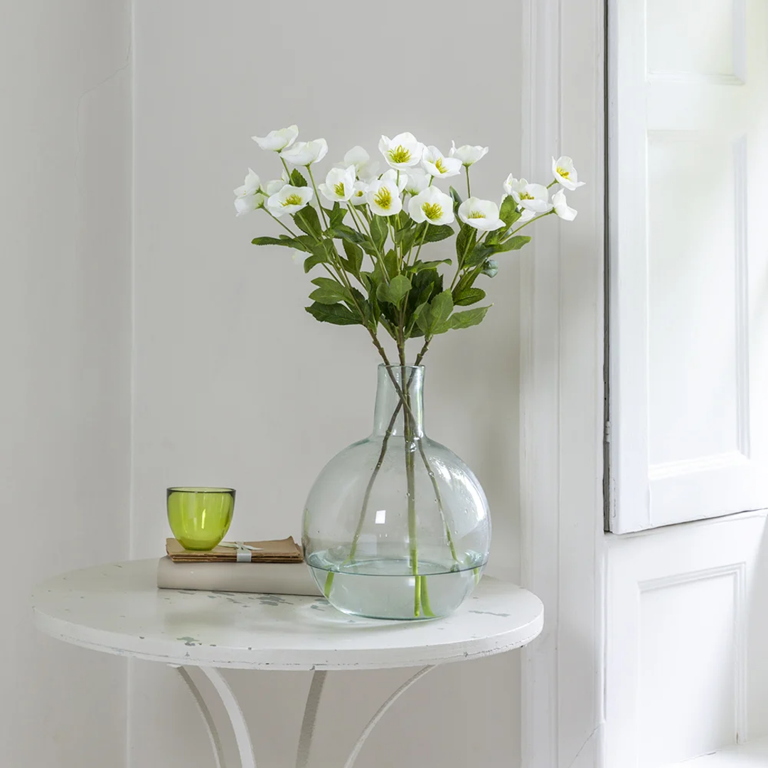 Hellebore White 62cm
