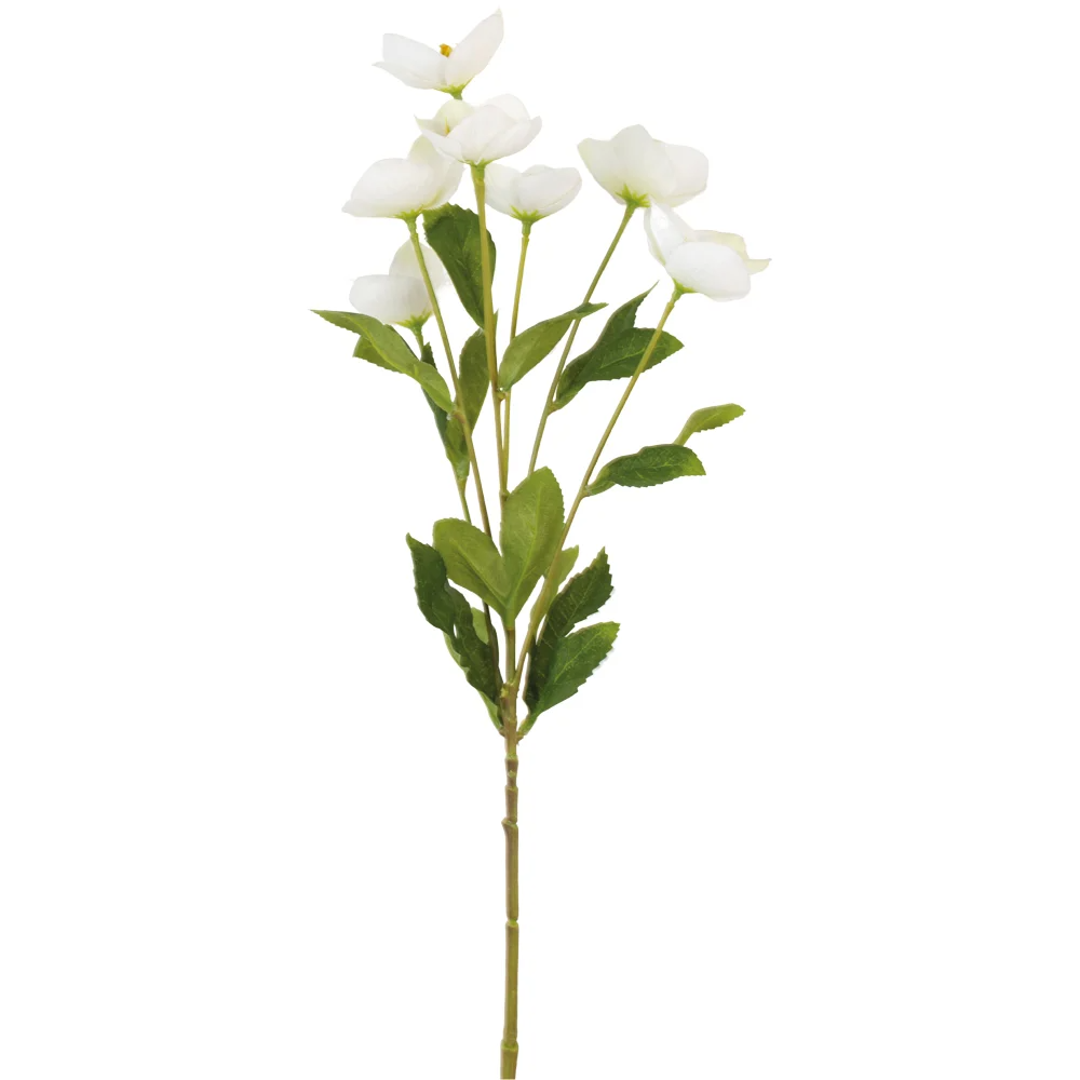 Hellebore White 62cm | Annie Mo's