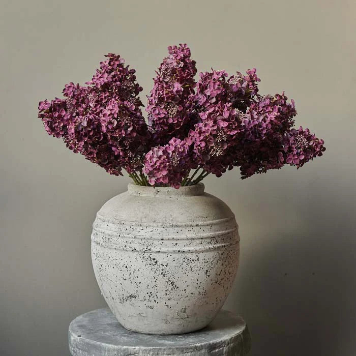 Hydrangea Paniculata 66cm | Annie Mo's