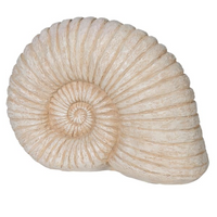 Large Ammonite Shell Decoration 34cm | Annie Mo's
