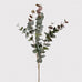 Large Natural Blush Eucalyptus Spray 100cm | Annie Mo's C