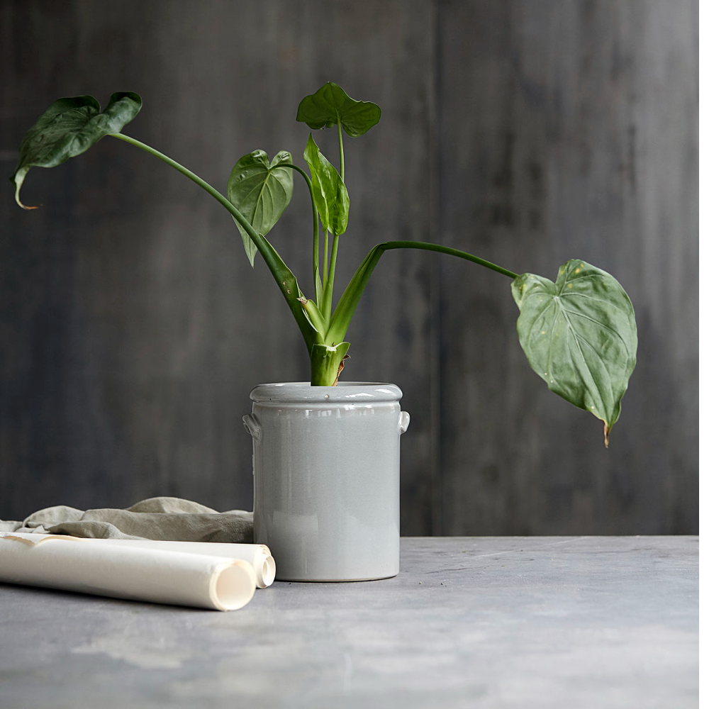 Light Grey Pottery Planter 24cm | Annie Mo's