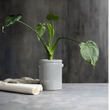 Light Grey Pottery Planter 24cm | Annie Mo's