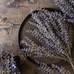 Lilac Heather Stem 42cm