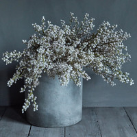 Mimosa Blush Faux Stem 45cm | Annie Mo's