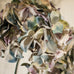 Pale Lavender Hydrangea 76cm G