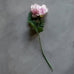 Peony Rouge 62cm