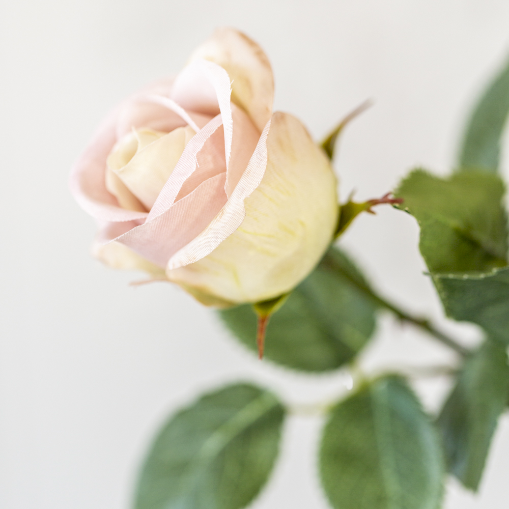 Rose Apple White Rose Stem 47cm