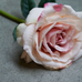 Rose Blush 36cm