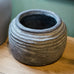 Rustic Pot Cleopatra 18cm