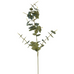 Eucalyptus Spray 78cm | Annie Mo's