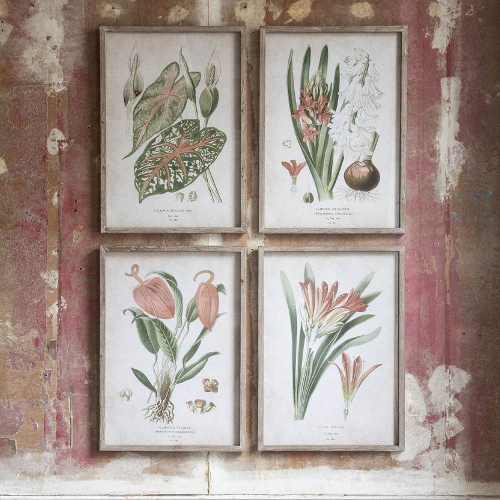 Botanical prints deals