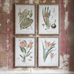Set of Four Botanical Framed Prints 70cm | Annie Mo's