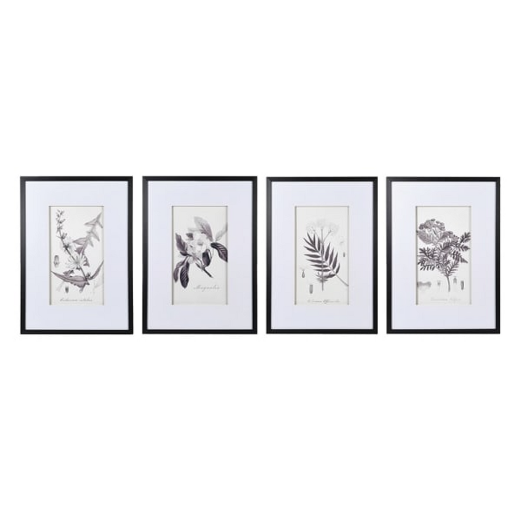Set of Four Monochrome Botanical Pictures 70cm | Annie Mo's