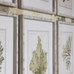 Set of Six Gorgeous Fern Framed Prints 60cm