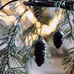 Set of Two Black Metal Hanging Cones 6cm | Annie Mo's