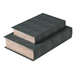 Set of Two Faux Shagreen Book Boxes 33cm | Annie Mo's