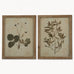 Set of Two Framed Leaf Prints 53cm | Annie Mo's