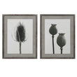 Set of Two Teasel and Poppy Framed Prints 70cm's High | Annie Mo's