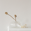 Short Clear Ribbed Glass Vase | Annie Mo's