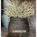 Silver Santolina Stem 20cm