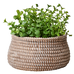 Small Camille Beige Planter16cm