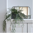 Small Mirror With Wire Shelf 36cm | Annie Mo's