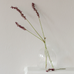 Tall Clear Ribbed Glass Vase | Annie Mo's